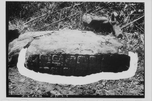 Stela 23 - left side, bottom