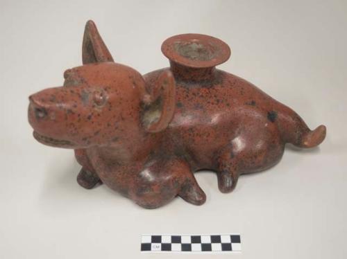 Colima burnished redware dog figure