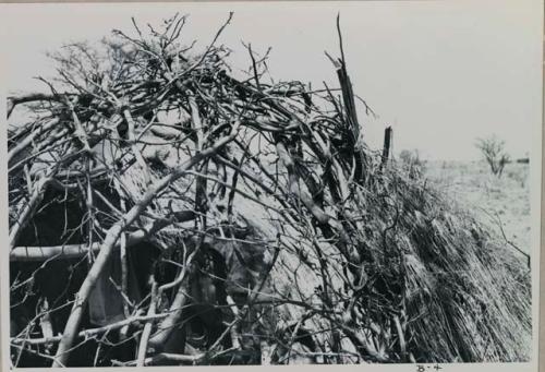 Arrangement of branches on one of the skerm extensions

