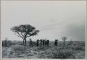 Group of women carrying grass on top of their heads, seen from a distance

