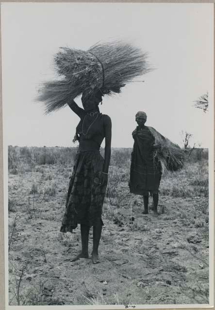 One woman carrying grass on top of her head, another woman with a bundle in a kaross over her shoulder

