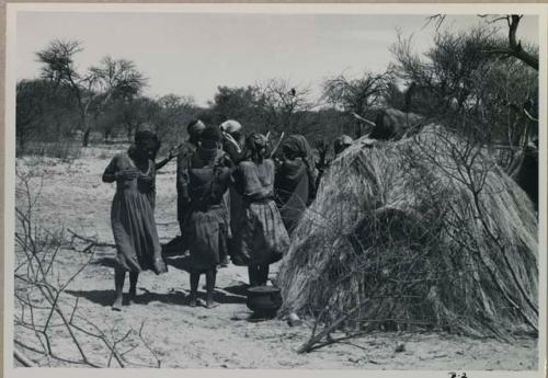 Group of people performing the Eland Dance; group of women standing by a skerm; men holding wooden horns to their heads




