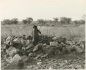 "Crooked /Qui" rising to his knees to shoot in hunting blind (print is a cropped image)