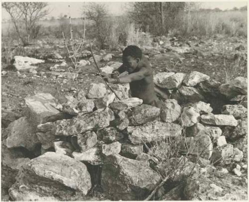 "Crooked /Qui" rising to his knees to shoot in hunting blind (print is a cropped image)