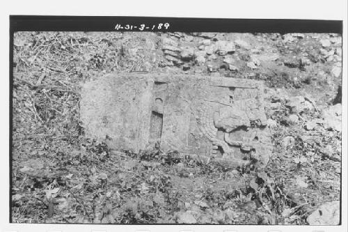 Stela 40 - bottom section