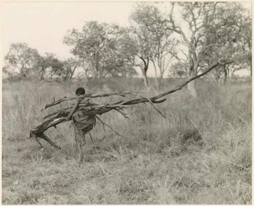 Woman carrying wood, seen from the back, distant view (print is a cropped image)