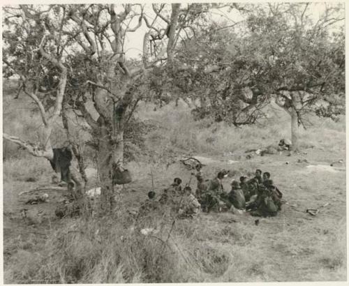 Group of Ju/'hoansi sitting in a cluster under a tree (print is a cropped image)