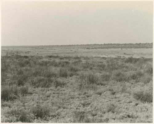 Landscape (print is a cropped image)