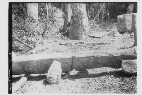 Stela 9 - left (right) side, bottom (entire)