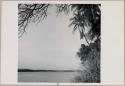 View of Okavango River (print is a cropped image)