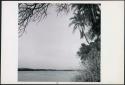 View of Okavango River (print is a cropped image)