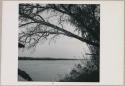 View of Okavango River (print is a cropped image)