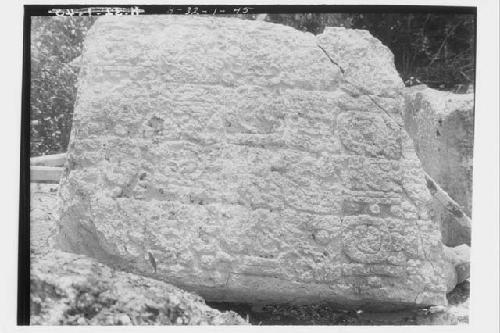 Stela 33 - back, upper half