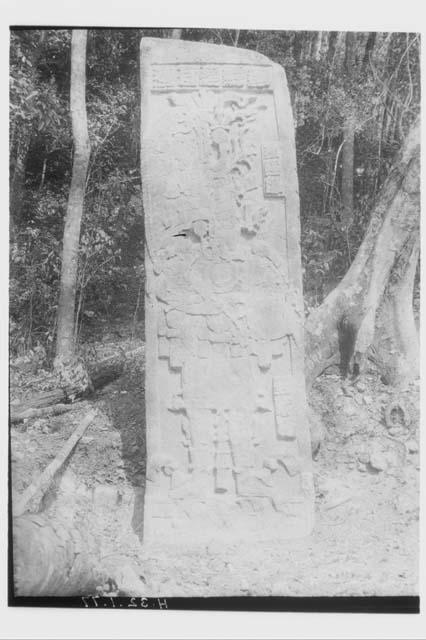 Stela 52 - front