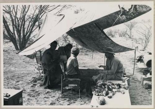 Lorna Marshall, O.P.M. Prozesky, Wilhelm Camm, and Ngani working on a list of birds in the camp tent (print is a cropped image)