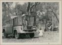 Nicholas England standing in a truck bed and Deborah Marshall squatting beside the truck; group of women singing and Kernel Ledimo standing in the background (print is a cropped image)