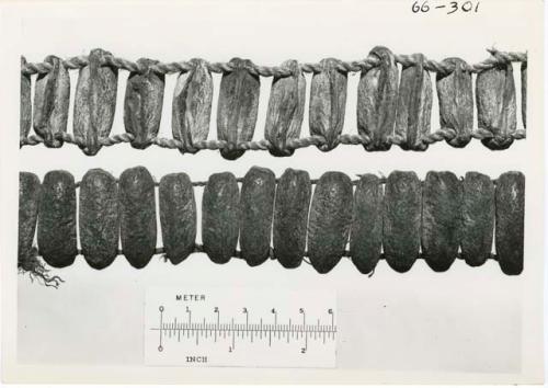 [No folder title]: Two strings of beads, with ruler for measurement