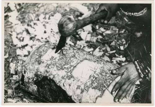 "Misc. prints from slides": Person's hands working on a log to make a //guashi (print of slide 2001.29.9863)