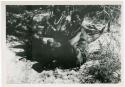 "1950 - 300 series duplicates": Two women sitting in the shade