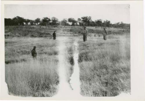 "1950 - 300 series duplicates": Expedition members standing near elephant trail