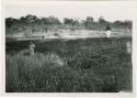 "1950 - 300 series duplicates": Expedition members standing near elephant trail