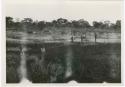 "1950 - 300 series duplicates": Expedition members standing near elephant trail