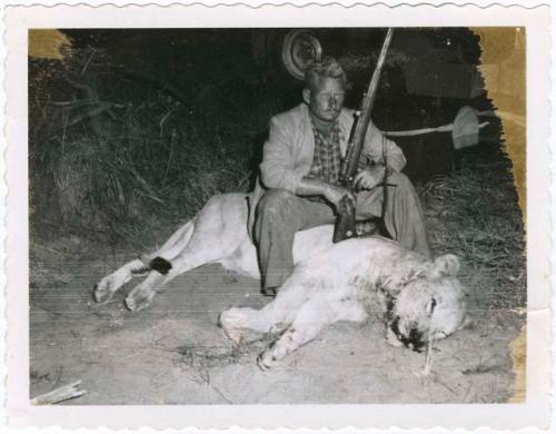 [No folder]: Theunis Berger with dead lion