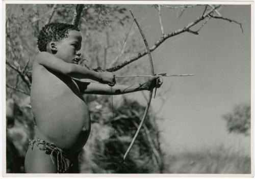 [No folder]: Tsamgao aiming a bow and arrow