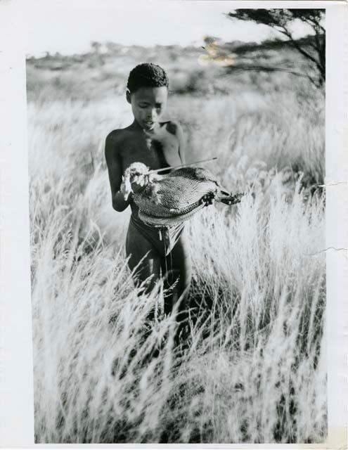 /Gishay holding a guinea fowl he has shot through the neck (print is a cropped image)