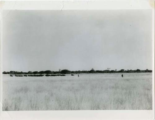 Two hunters pursuing a wildebeest herd at Thinthuma (print is a cropped image)