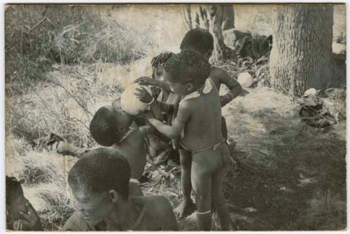 Group of unidentified children including /Gaishay helping his younger brother, Debe, take a drink from an ostrich eggshell (print is a cropped image)