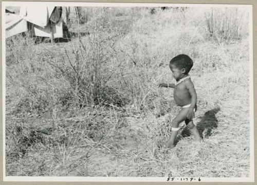 Ju/'hoan boy walking in grass (print is a cropped image)