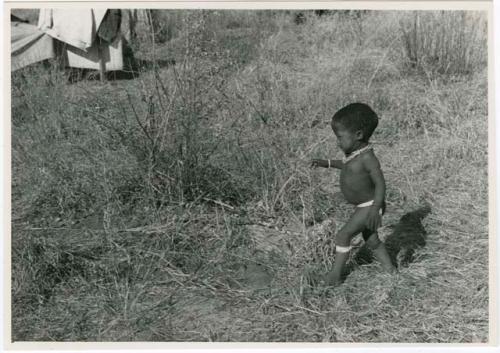 Ju/'hoan boy walking in grass (print is a cropped image)