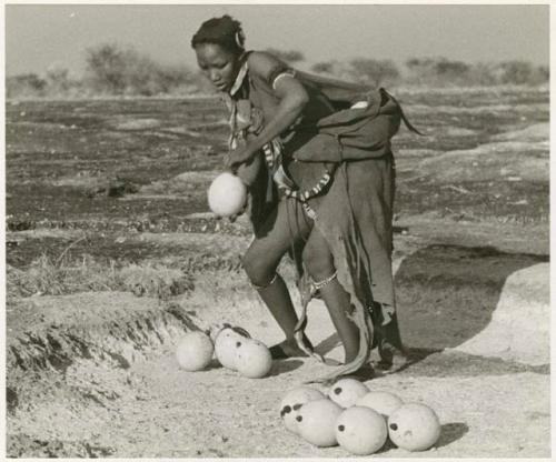 Woman gathering her filled ostrich eggshells (print is a cropped image)