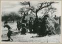 [No folder title]: Women performing the Eland Dance, with some standing in front of a skerm, singing and clapping, and others dancing around the skerm (from color slide 2001.29.8649)