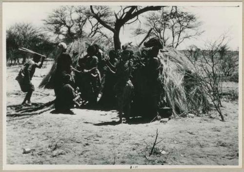 [No folder title]: Women performing the Eland Dance, with some standing in front of a skerm, singing and clapping, and others dancing around the skerm (from color slide 2001.29.8650)