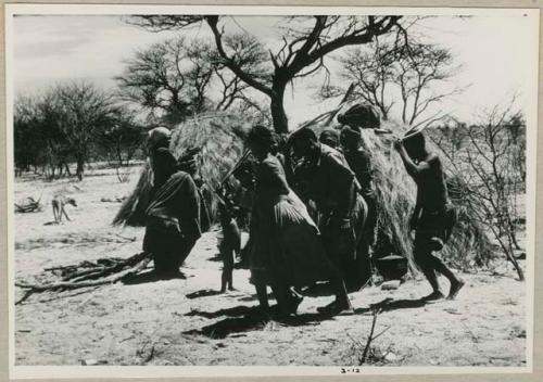 [No folder title]: Women performing the Eland Dance, with some standing in front of a skerm, singing and clapping, and others dancing around the skerm (from color slide 2001.29.8651)