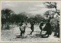 [No folder title]: Group of people performing the Eland Dance, including two men wearing horns (from color slide 2001.29.8652)