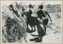 [No folder title]: People performing the Eland Dance, dancing in a line around a skerm (from color slide 2001.29.8654)