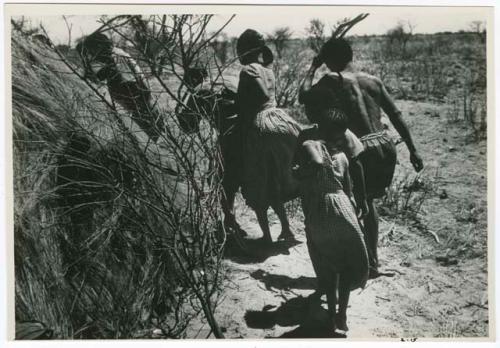 [No folder title]: People performing the Eland Dance, dancing in a line around a skerm (from color slide 2001.29.8654)