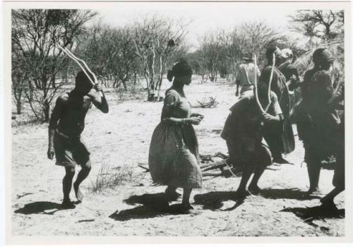 [No folder title]: Twi, ǂKxoba and /Gaishay performing the Eland Dance, Twi and /Gaishay are wearing horns and Twi is imitating eland motions (from color slide 2001.29.8656)