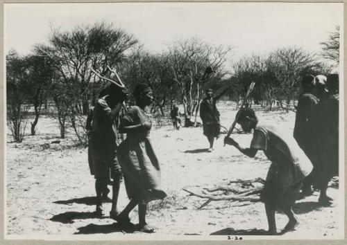 [No folder title]: Dancers performing the Eland Dance, with Twi playing up to !Ani (from color slide 2001.29.8659)