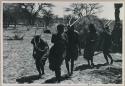 [No folder title]: Group of people performing the Eland Dance; !Ani leading a line of men who are holding wooden horns up to their heads