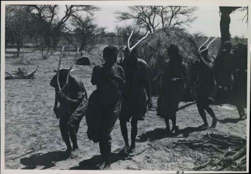 [No folder title]: Group of people performing the Eland Dance; !Ani leading a line of men who are holding wooden horns up to their heads