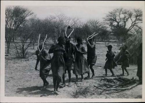 [No folder title]: Group of people performing the Eland Dance; !Ani leading a line of people, men holding wooden horns to their heads
