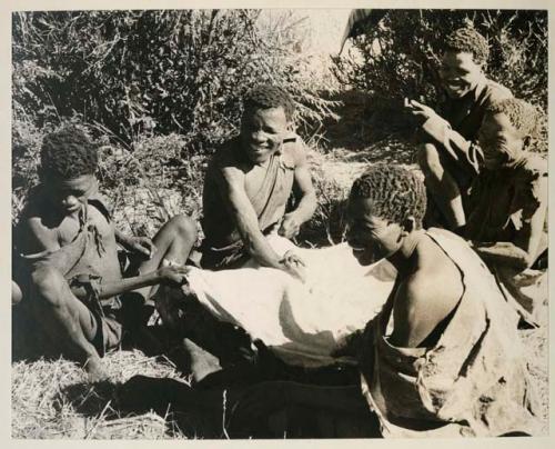 [No folder title]: 5 men working on an animal skin