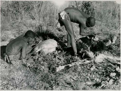 [No folder title]:Oukwane drinking liquid from his hand; !Gai holding a knife, cutting up a gemsbok

