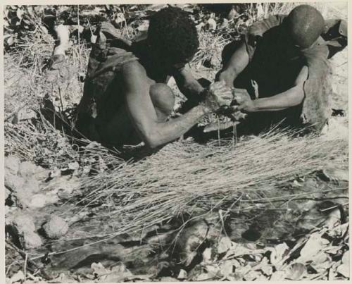 [No folder title]:Oukwane and !Gai squeezing gemsbok stomach contents in their hands into grass sieve

