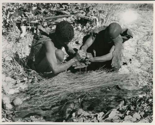 [No folder title]:Oukwane and !Gai squeezing gemsbok stomach contents in their hands into grass sieve

