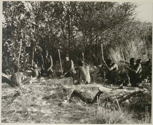 [No folder title]: Group of people sitting in a circle, all chopping tsama melons with their digging sticks


